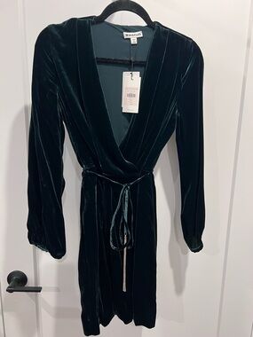 Whistles Teal Velvet Dress